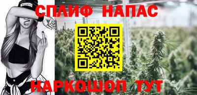 стаф Бугуруслан